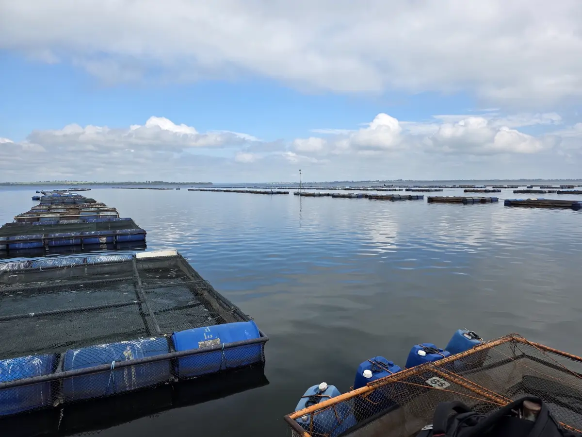 Piscicultura Fish Company
